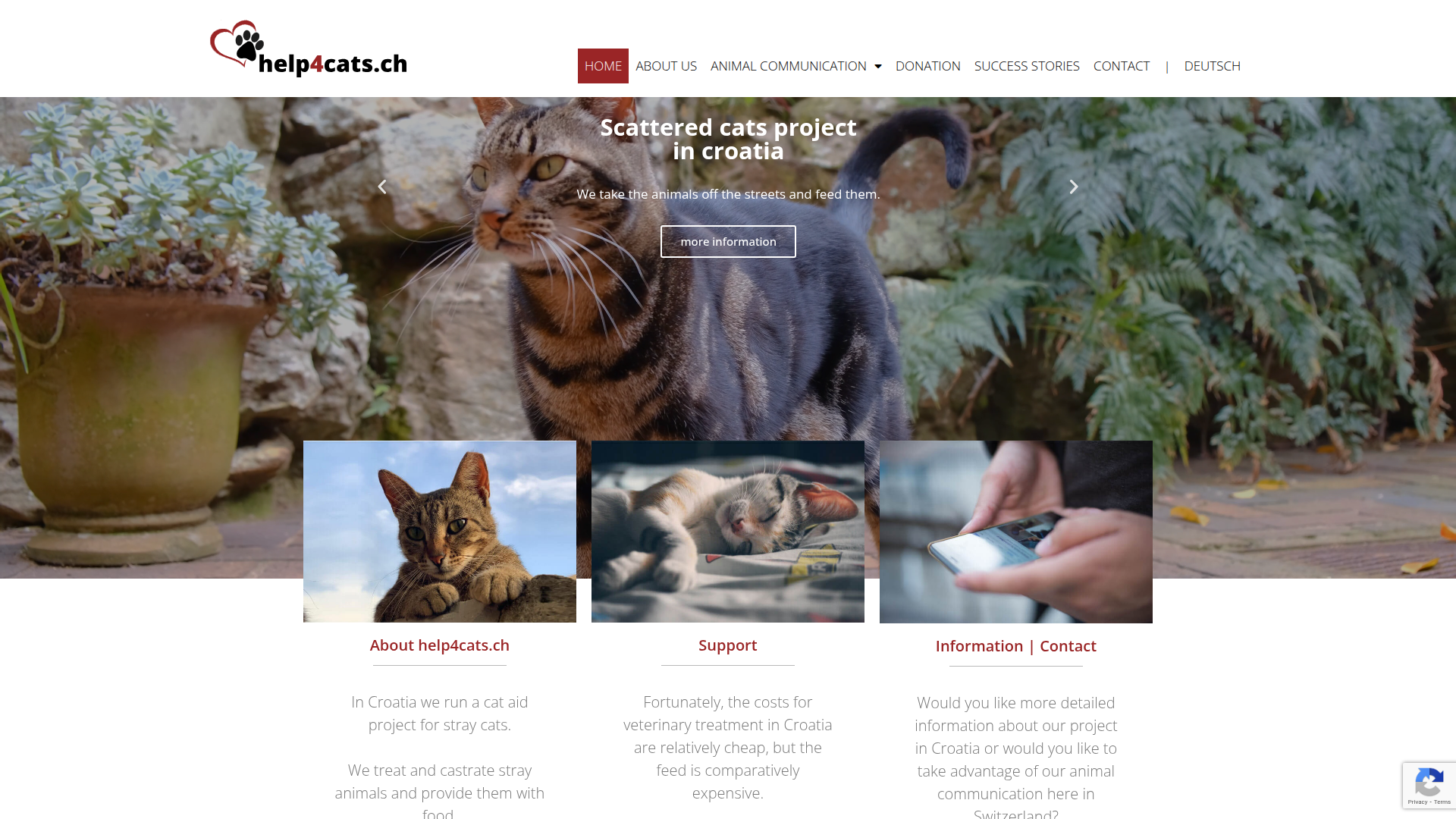 Help4Cats